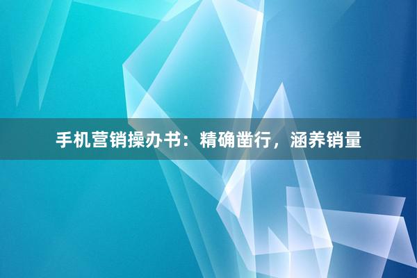手机营销操办书：精确凿行，涵养销量